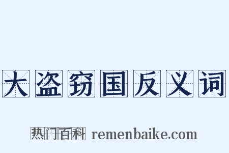 大盗窃国反义词是什么意思的图片